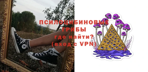 ПСИЛОЦИБИНОВЫЕ ГРИБЫ Няндома