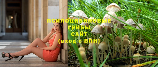 ПСИЛОЦИБИНОВЫЕ ГРИБЫ Няндома