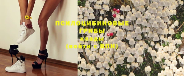 мет Осташков