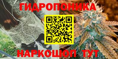 твердый Гатчина
