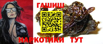 твердый Гатчина