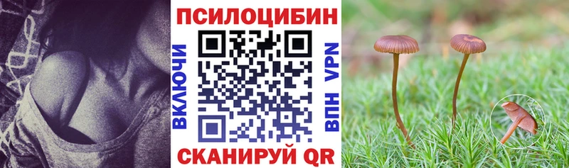 Галлюциногенные грибы прущие грибы купить наркотики цена Кореновск