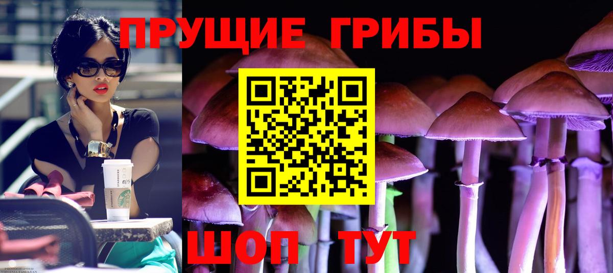 Псилоцибиновые грибы GOLDEN TEACHER  Псилоцибиновые грибы мицелий  Кореновск  Вход с VPN 